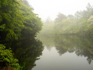 霧の雲場池