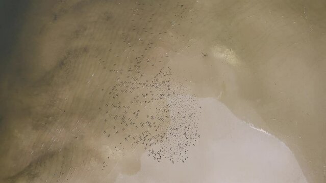 V&iacute;deo de drone Ilha do Mel, Paranagu&aacute;, Paran&aacute;. Imagem a&eacute;rea da paraia. V&iacute;deo do mar, e do trapiche. Dia de sol na Ilha do Mel. Ver&atilde;o no Paran&aacute;. Praia do sul do Brasil. Vista a&eacute;rea do mar e da natureza