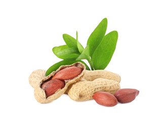 Unpeeled peanuts and leaves isolated on white