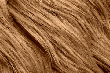 Texture of brown faux fur as background, closeup