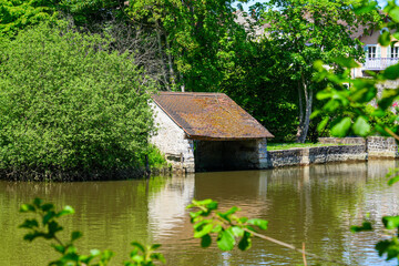 Fototapete bei efototapeten.de bestellen   