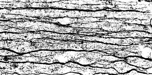 Black and White Marble Stone Vector Texture