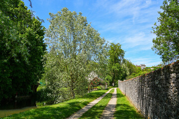 Fototapete bei efototapeten.de bestellen   