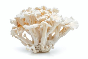 Cluster of white mushrooms with wavy caps. Detailed macro photography on a white background. Mushroom illustration for design and print. Generative AI