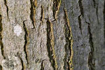 texture