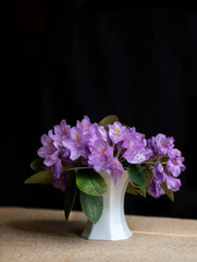 Im Zimmer auf Tisch, schwarzer Hintergrund, kleine helle Vase mit blühenden Zweigen Rhododendron pink