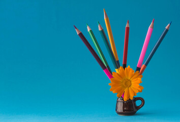Art creative idea concept, color pencils in mug with marigold flower on blue background