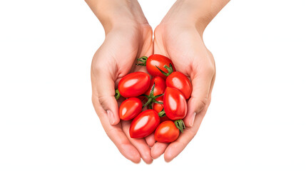 Delicious mini san marzano tomatoes in woman hands isolated on white background, pop-art, png
