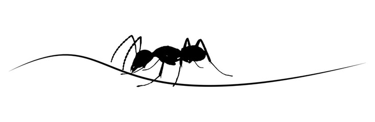 line art ant