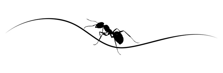 line art ant