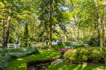 Lovely forest enlightened by sunlight in largest flower garden of the world Keukenhof with vibrant tulip flowers in yellow and pink