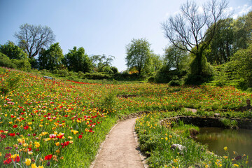 Idyllic flower meadow with a serene walking path
