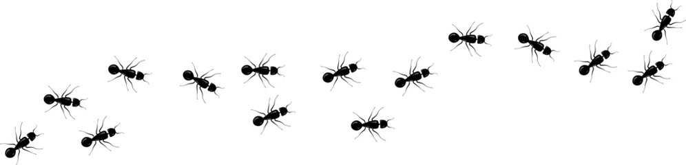 The path of an ant colony. Directing a group of termites into the anthill. Black vector illustration.