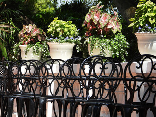 Plants in pots on a wall with black iron chairs at the patio in Florida