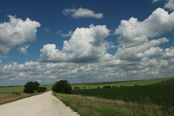 A road with grass and trees on both sides