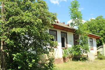A house with trees and bushes
