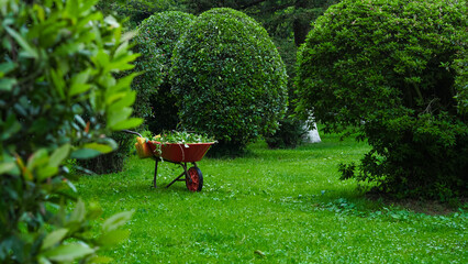 wheelbarrow for the garden, cutting trees