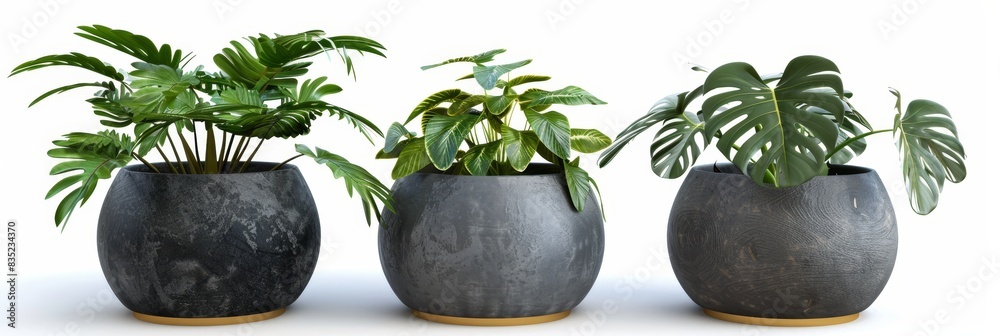 Poster set of various retro and modern vases, pots, furniture cutouts, isolated on a transparent background