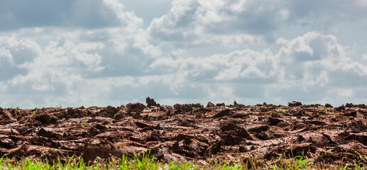 Nahaufnhame eienr Ackerfläche bis zum Horizont mit blauem Himmel im sommer