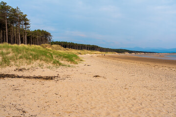 Newbourgh Llanddwyn Anglesey. Serene beach sandy shore, grassy dunes, and distant forest under a clear blue sky.