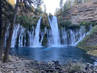 Obraz premium waterfall in the forest