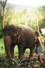 Fototapeta premium Woman, elephant and forest with camera for photography in Thailand for portfolio, project or magazine. Travel, trip and explore with adventure as photographer or tourist on holiday for wildlife