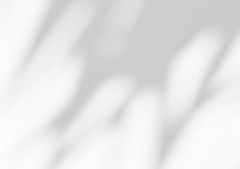 White wall with shadow of leaves overlay. Sunlight effect shadow on the wall. Minimal blurred backdrop backgrounds. Summer tropical surface background.	