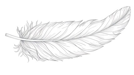 Obraz premium outline, drawing, black, leaf, line, contour, illustration, isolated, vector, doodle, graphic, drawn, vignetting, continuous, white, design, flower, icon, nature, background, natural, plant, summer, e