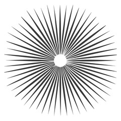 Obraz premium silhouette vintage sunburst black color only