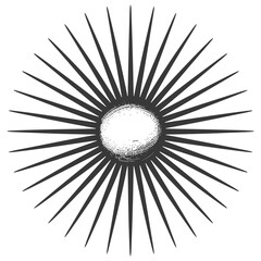 Obraz premium silhouette vintage sunburst black color only