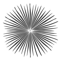 silhouette vintage sunburst black color only