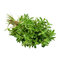 Obraz premium bunch of tightly knit thyme leaves on an isolated white background