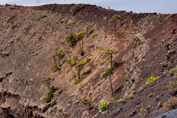 La Palma, Canary island, vulcano, teles cope, santa cruz, eruption