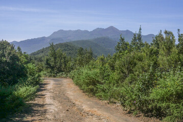 Obraz premium La Palma, Canary island, vulcano, teles cope, santa cruz, eruption