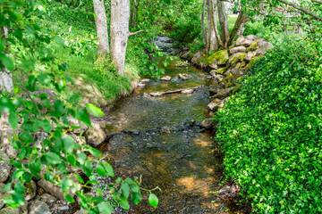Small Park Stream 3
