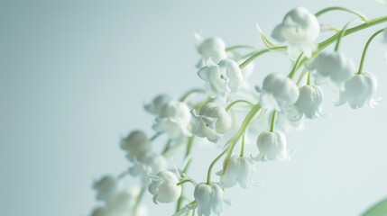 Close-up of lily of the valley flowers with intricate petal details, set against a pristine white background