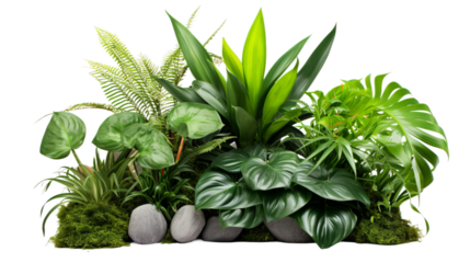  photo of a shopping mall potted plant arrangement, isolated on a white background.