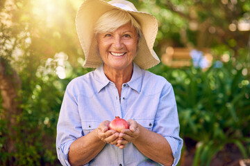 Senior woman, gardening and pomegranate in home backyard with portrait, smile and plant. Hobby,...