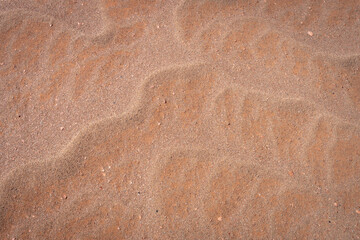 Desert landscapes in North Eastern Arizona, America, USA.