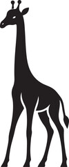 giraffe Vector