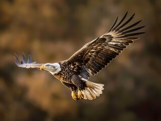 Obraz premium Bald eagle soaring, American flag background, majestic bird, symbol of freedom