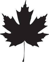 Fototapeta premium Maple leaf Silhouettes 