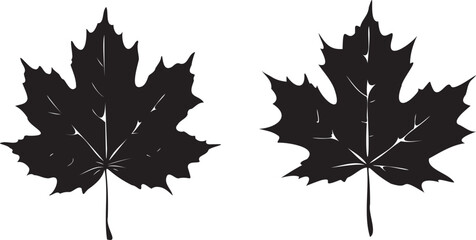 Maple leaf Silhouettes 