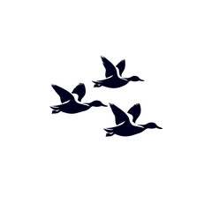 Duck Flock Logo, Minimalist Flying Ducks Vector