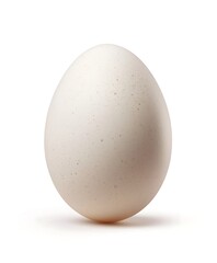 egg isolated on white background with clipping path
