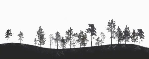 silhouette image of a row of bare trees against a plain white background, offering contrast and simplicity.