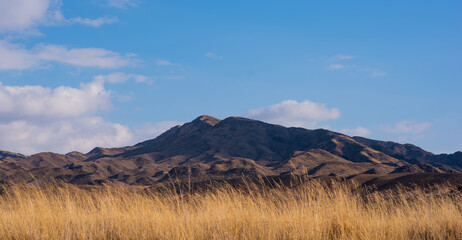 Landscape of the Tibetan Plateau. Yellow wild grass against the backdrop of a mountain range. An amazing view of a desolate plain with dry grass in the foreground and mountains in the distance.