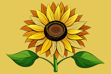 sunflower vector illustration