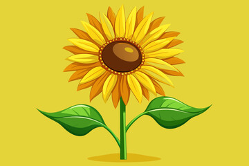 sunflower vector illustration