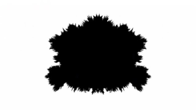 Flower Bud Inkblots Rorschach Perceptions Psychological test Animated Image